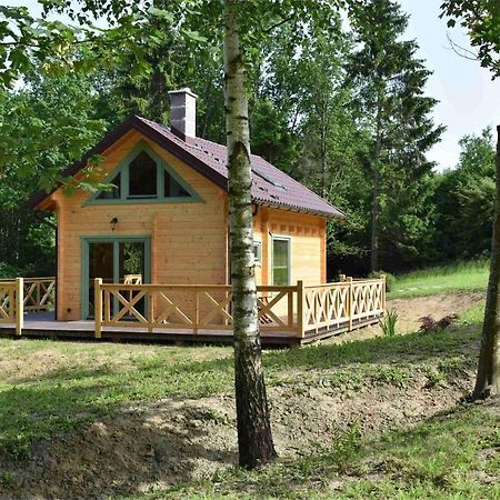 Ogrod Shinrin Yoku Villa Srokowo Luaran gambar