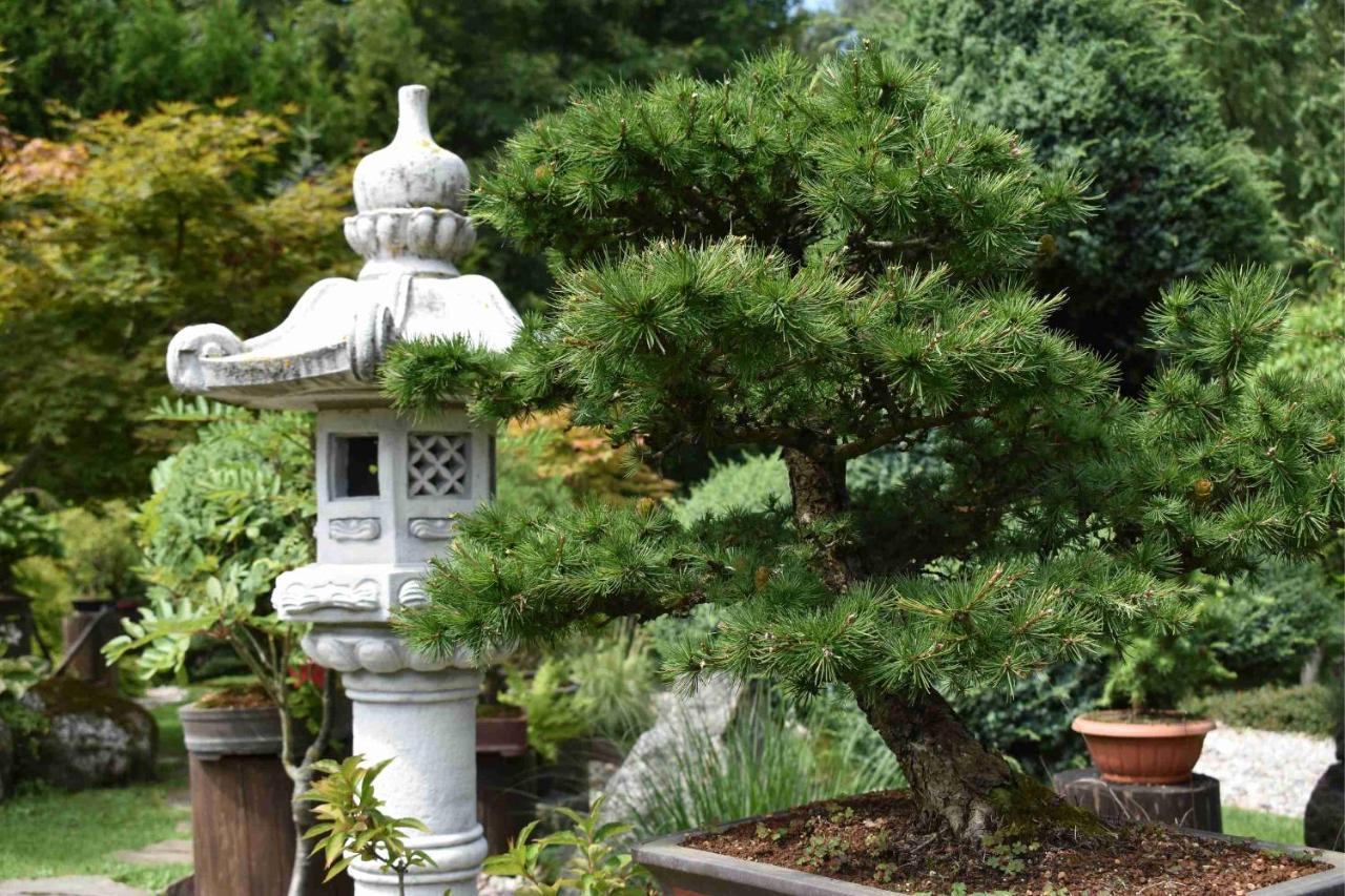 Ogrod Shinrin Yoku Villa Srokowo Luaran gambar